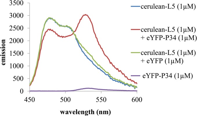 Fig 2