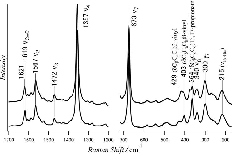 Fig. 7