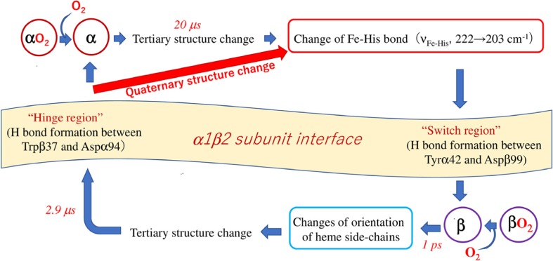 Fig. 12