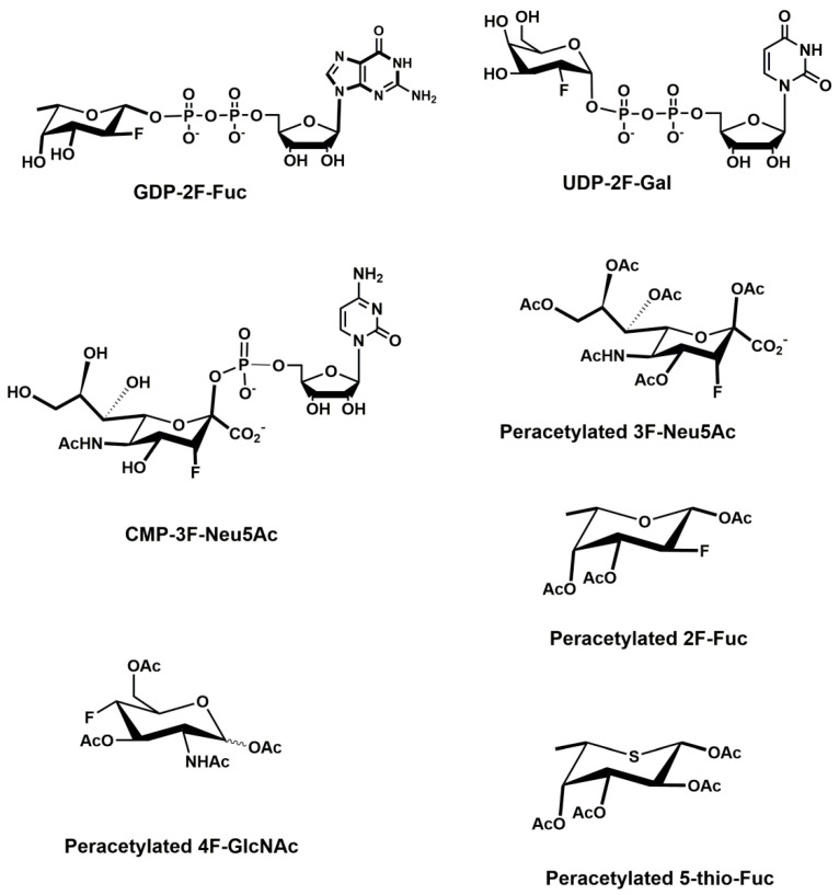 Figure 17