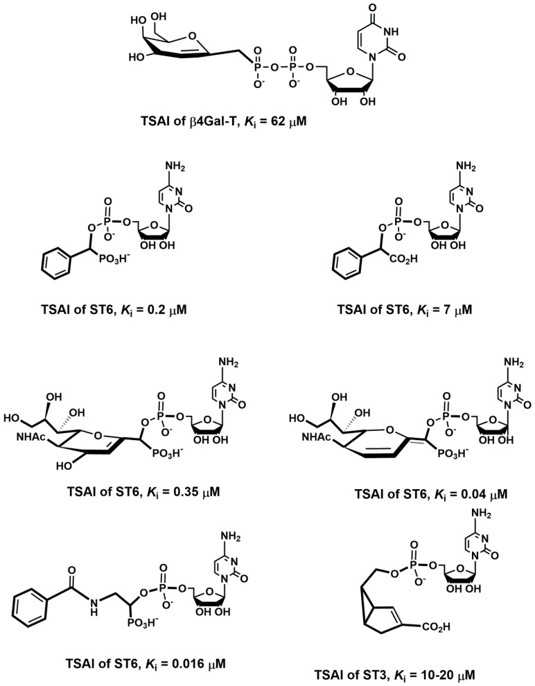 Figure 21