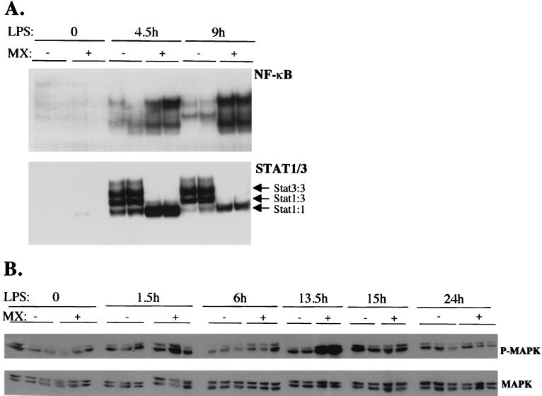 FIG. 6