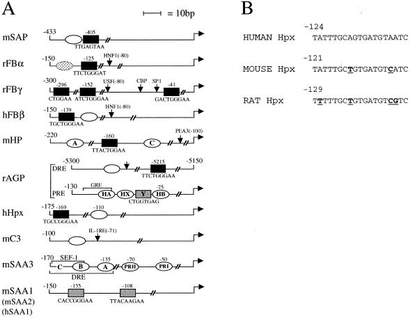 FIG. 7