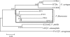 FIG. 5.