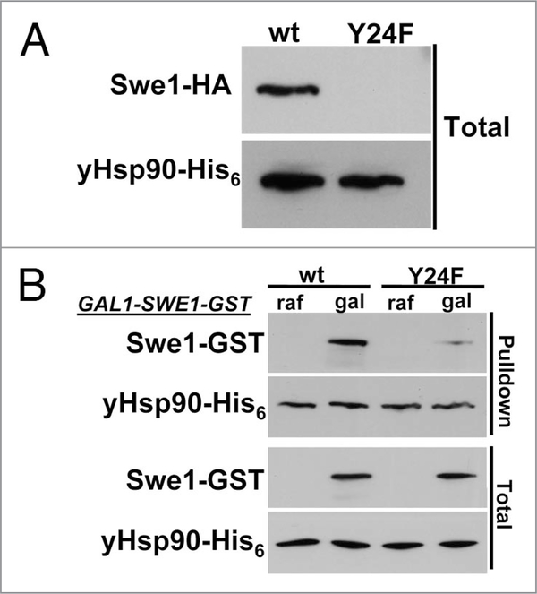 Figure 6.