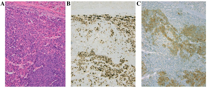 Figure 7.