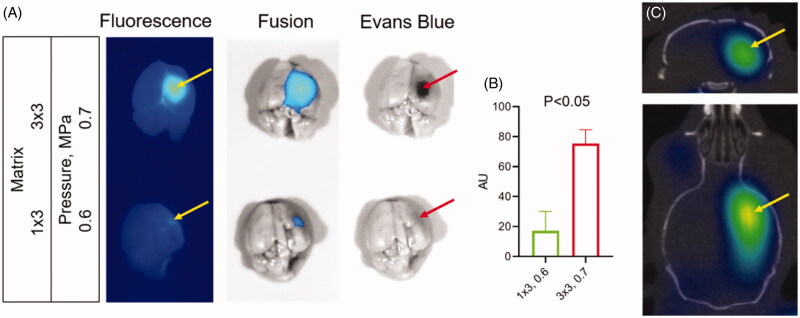 Figure 6.