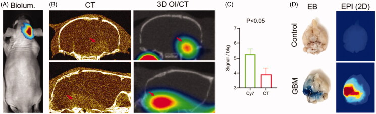 Figure 5.