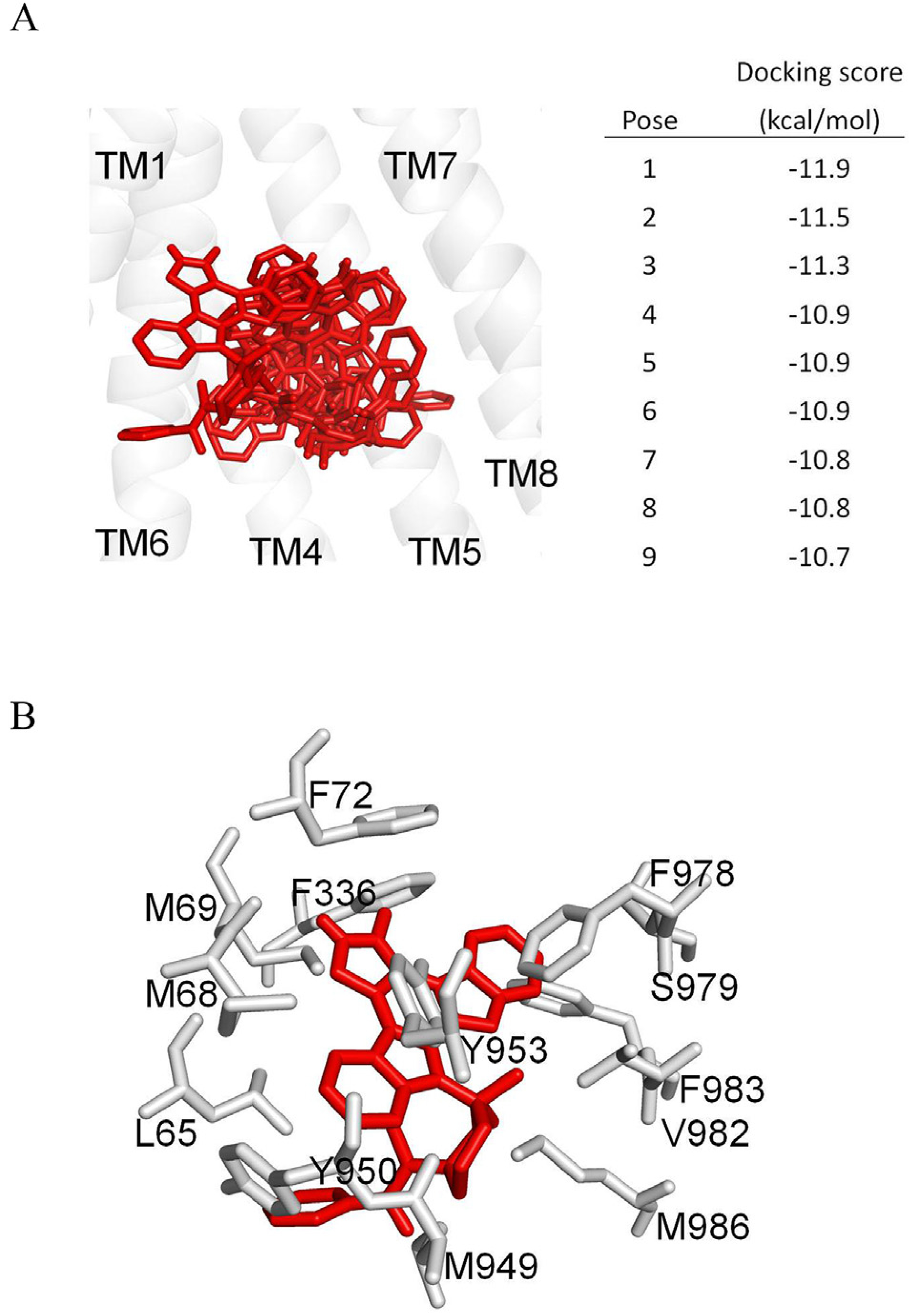 Fig. 6.