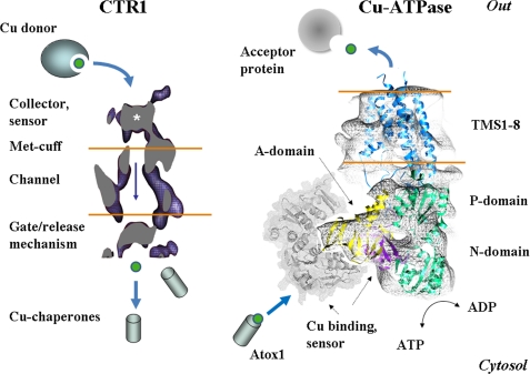 FIGURE 2.