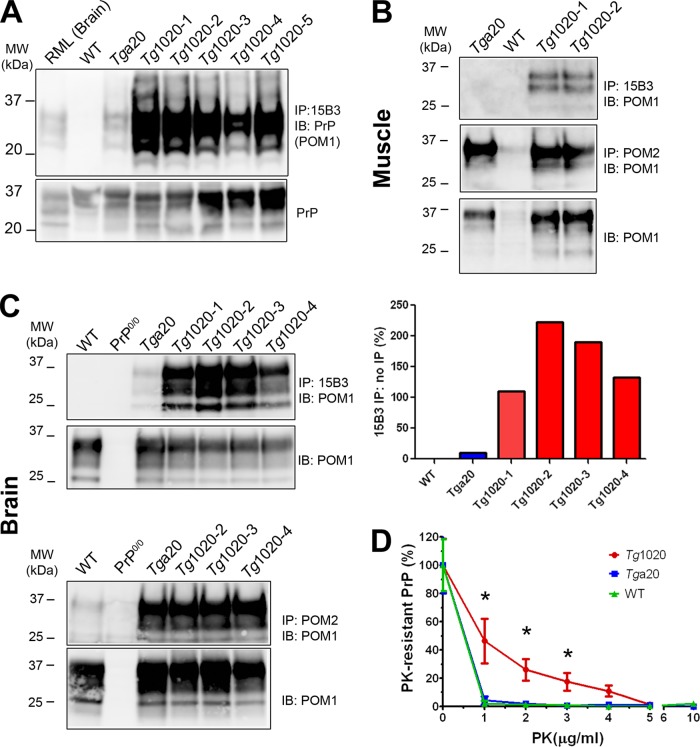 FIG 3