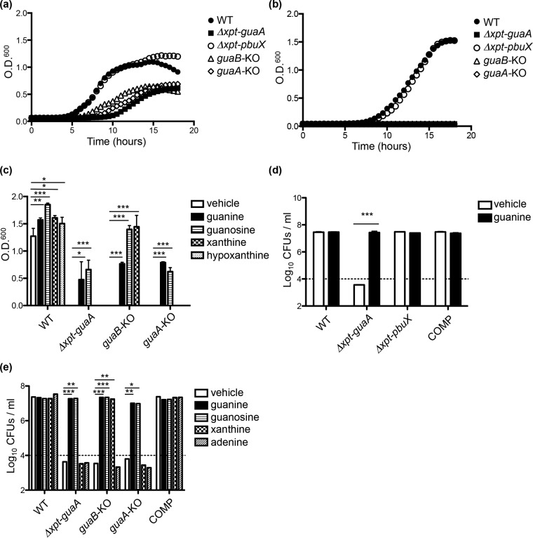 FIG 4