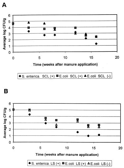 FIG. 7.