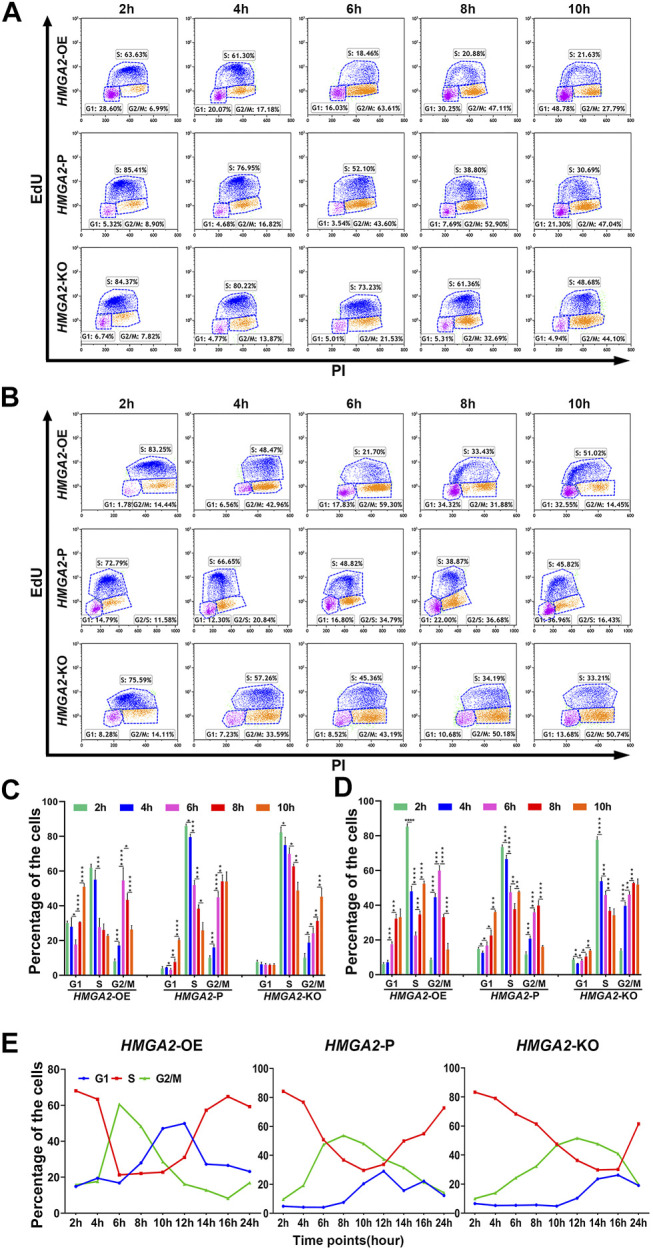 FIGURE 3