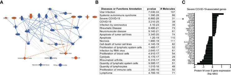 Figure 5