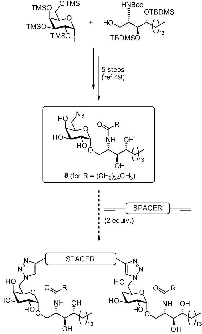 Scheme 1