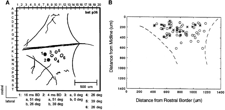 Fig. 16.