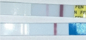 graphic file with name 12954_2023_911_Fige_HTML.gif