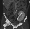 Fig. 10