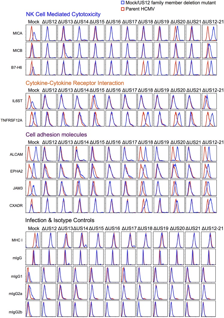 Figure 10.