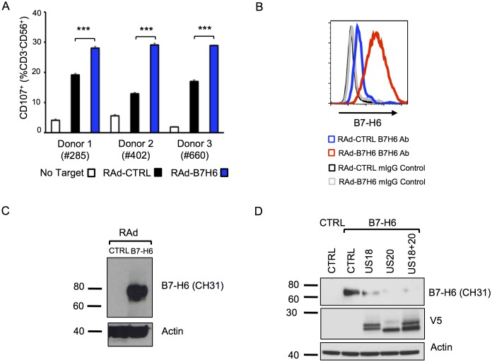 Figure 11.