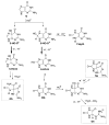 Scheme 2