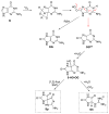 Scheme 4