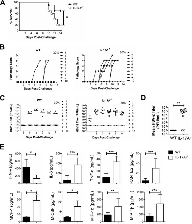 FIG 4