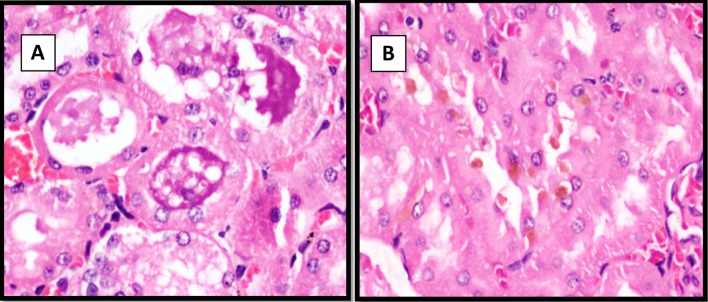 Fig. 5