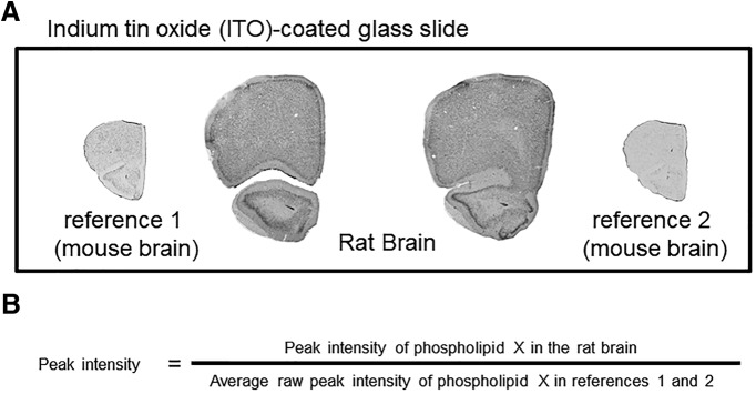 Figure 2.