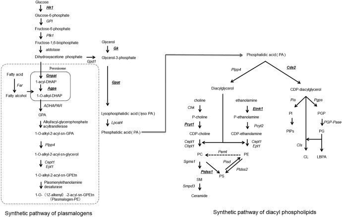 Figure 4.