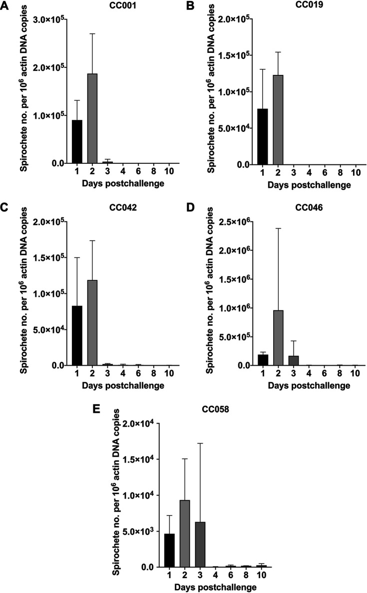 FIG 2