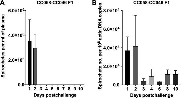 FIG 3