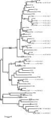 FIG. 2.