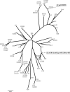 FIG. 1.