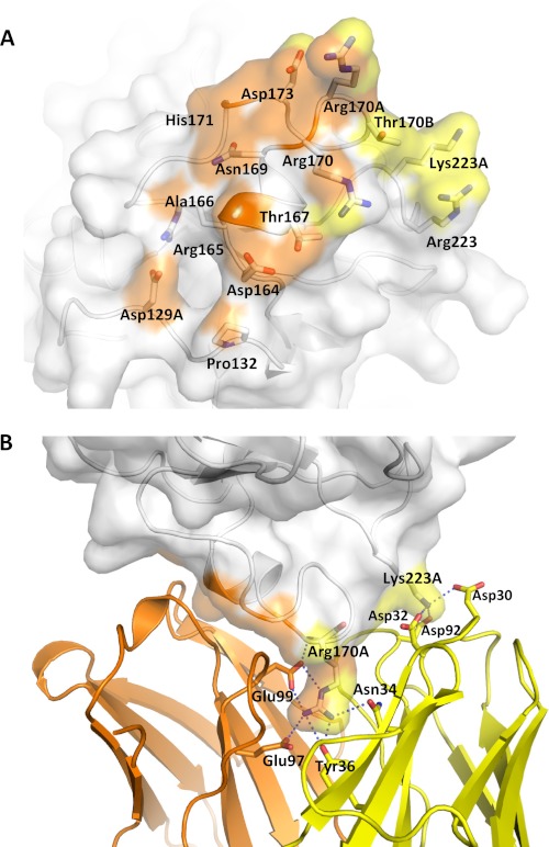 FIGURE 4.