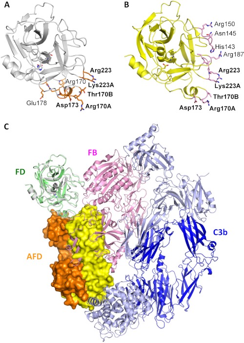 FIGURE 5.