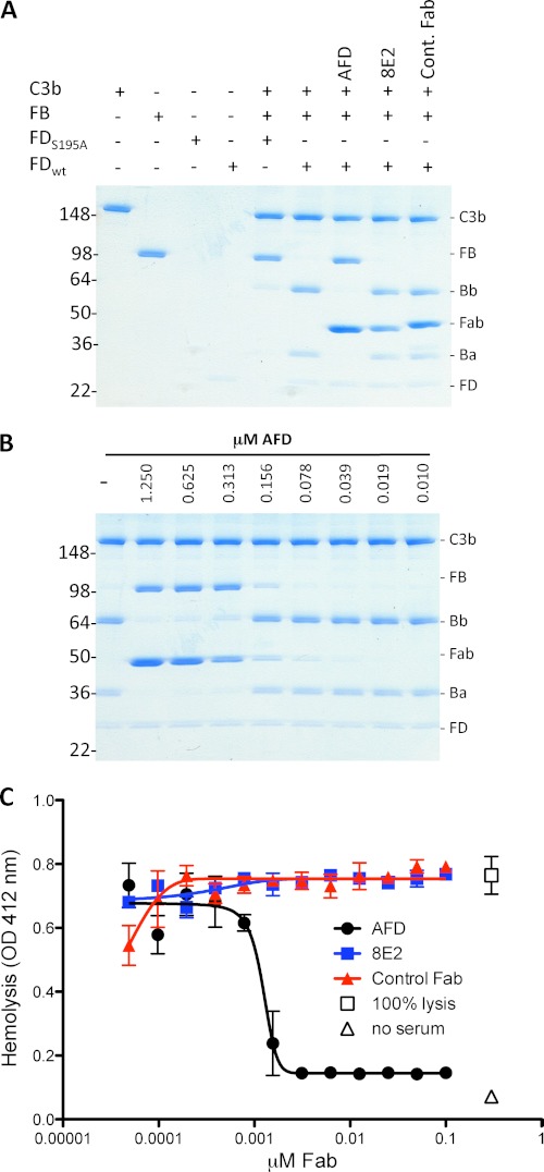 FIGURE 1.