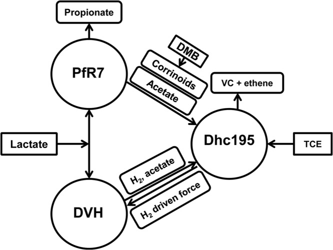 FIG 1