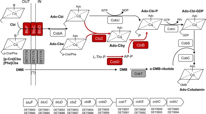 FIG 6