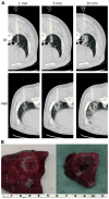 Fig. 5
