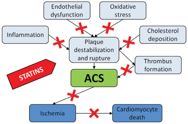 Figure 2)