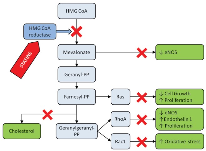 Figure 1)