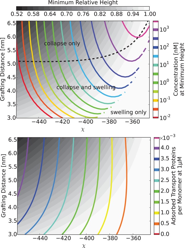 Figure 6—figure supplement 1.