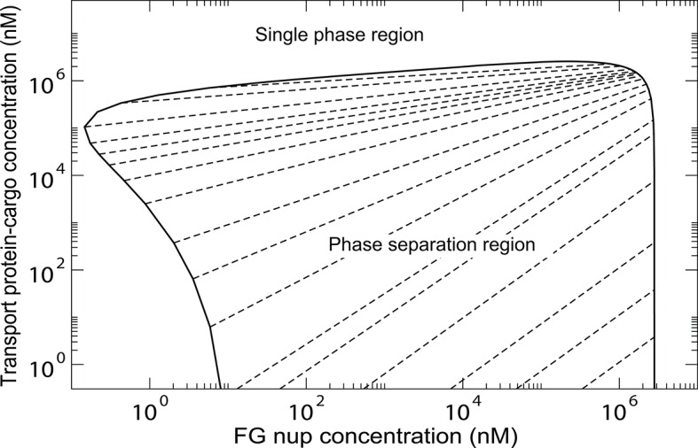 Figure 12—figure supplement 1.