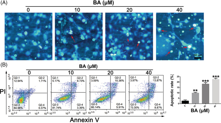 FIGURE 2