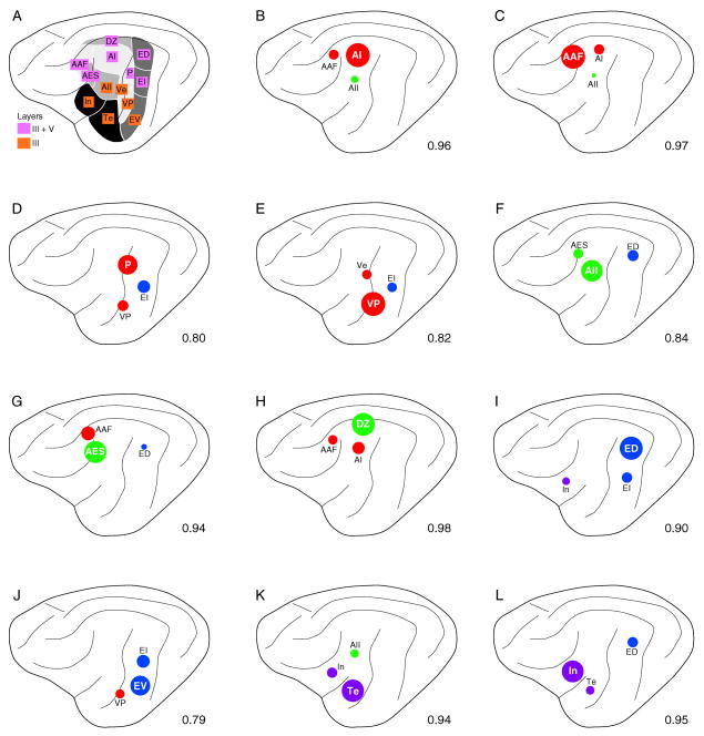 Fig. 12