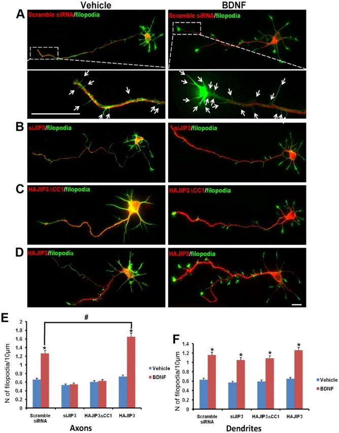 Figure 10.