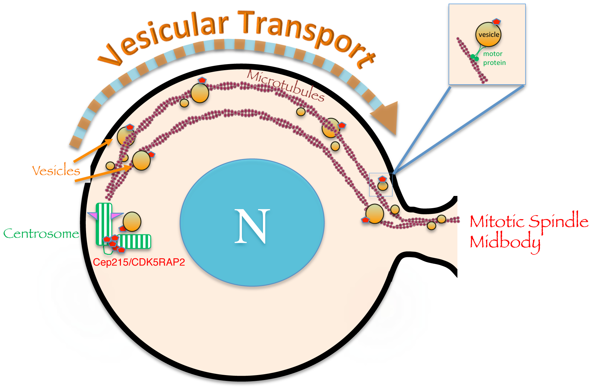 Fig. 3.