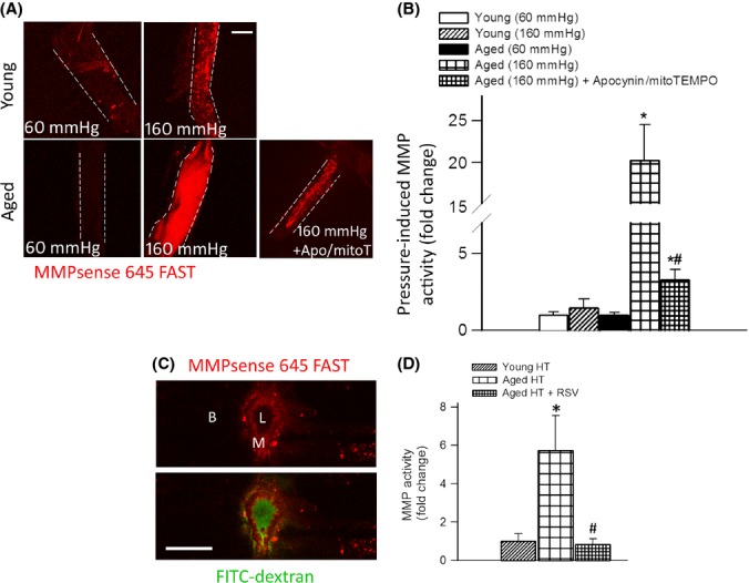 Fig 4